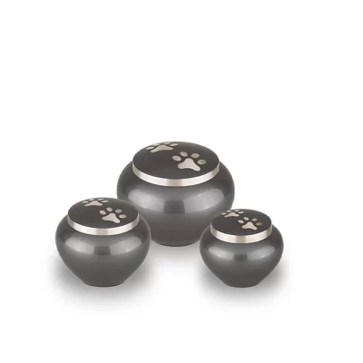 AU101-SET