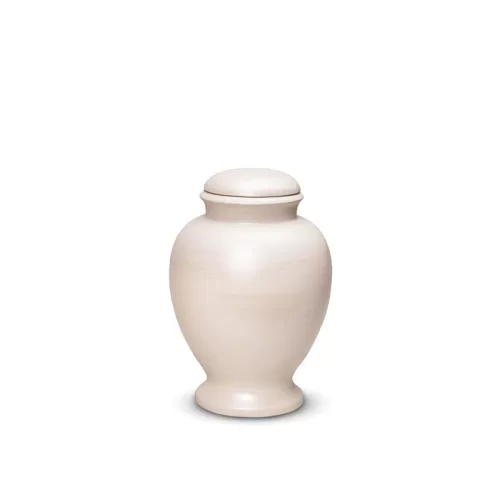Brushed Effect Bio Urn
