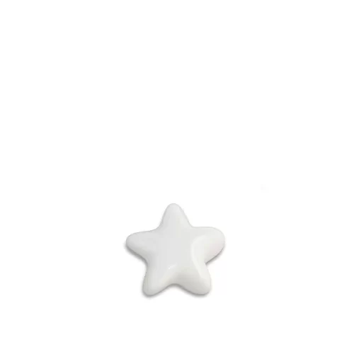 Star Keepsake Urn