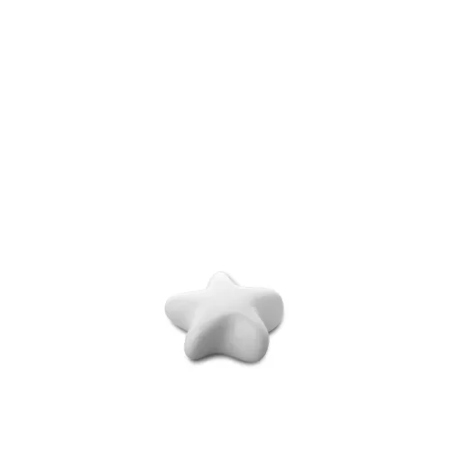 Unique Star Keepsake Urn - A Cherished Memorial for Ashes