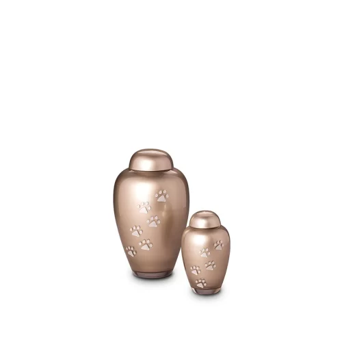 Crystal Traditional Paw Prints Pet Urn