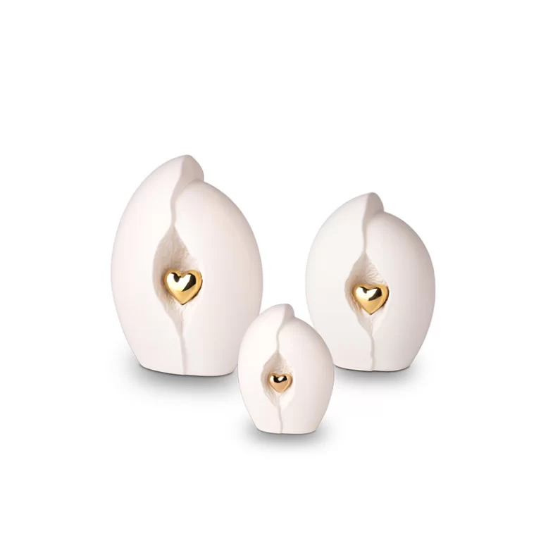KU047-SET